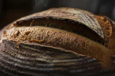 Illustration crusty - Image 1