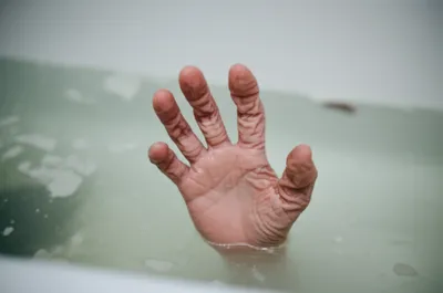 Illustration pruning - Image 1