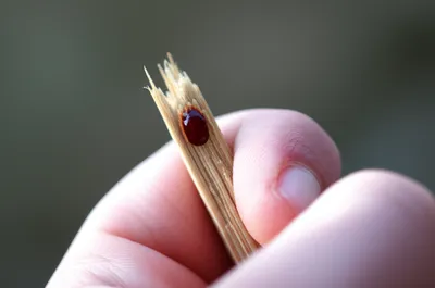 Illustration poignant - Image 1