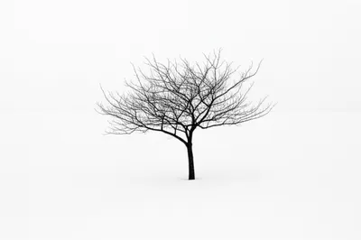 Illustration starkly - Image 1