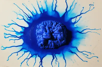 Illustration spreading - Image 1