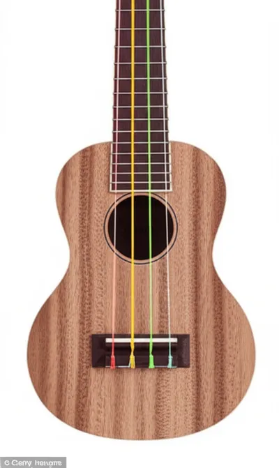 Illustration reentrant - Image 1