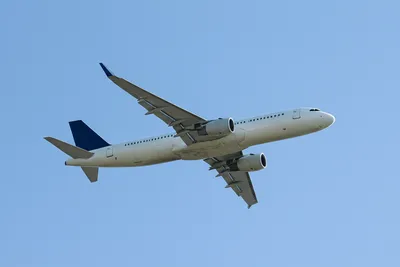 Illustration trim - Image 1