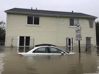 Illustration flooded - Image 1