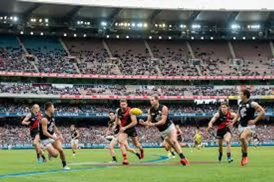 Illustration rule - Image 5