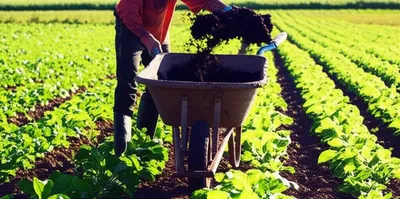 Illustration mucks - Image 1