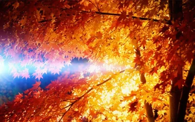 Illustration maser - Image 1