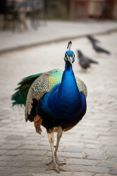 Illustration jetting - Image 1