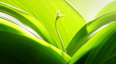 Illustration clad - Image 1