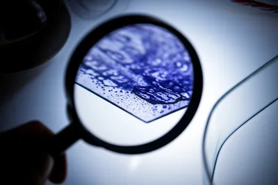 Illustration scan - Image 1