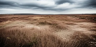 Illustration waste - Image 1