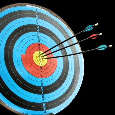 Hình ảnh minh họa precision - Ảnh 1