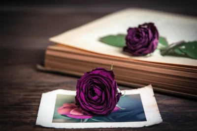 Illustration sometime