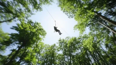 Illustration zipline - Image 1