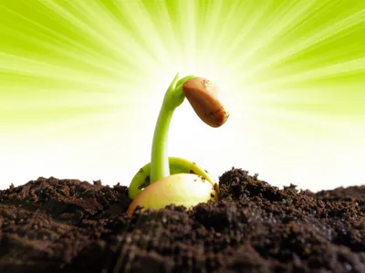 Illustration transpire - Image 1