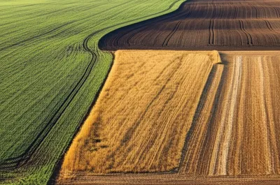 Illustration rotated - Image 1