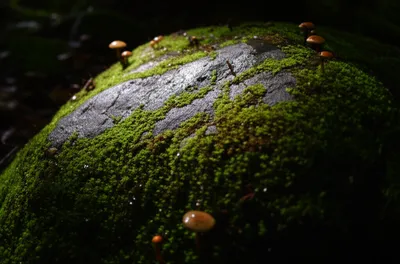 Illustration dampness - Image 1