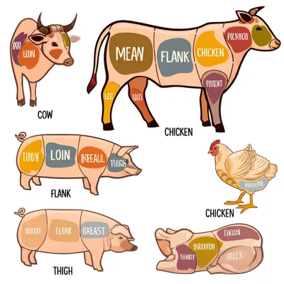 Illustration meats - Image 1