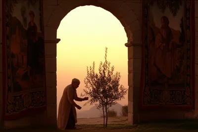 Illustration venerable - Image 1