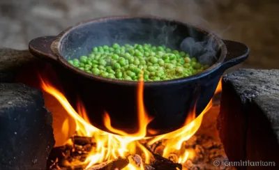 Illustration parches - Image 1