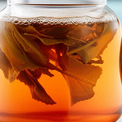 Illustration steeping - Image 1