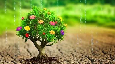 Illustration blooming