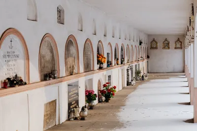 Illustration embedded - Image 2