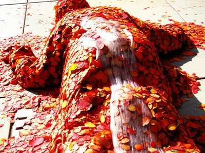 Illustration snails - Image 1