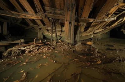 Illustration bulges - Image 1