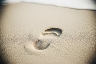 Illustration paces - Image 1