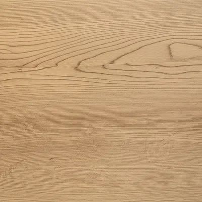 Illustration ash - Image 1