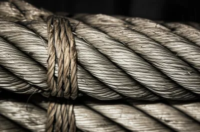 Illustration splicing - Image 1