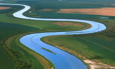 Illustration ribands - Image 1