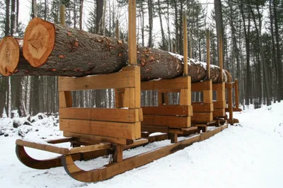 Illustration bunks - Image 1