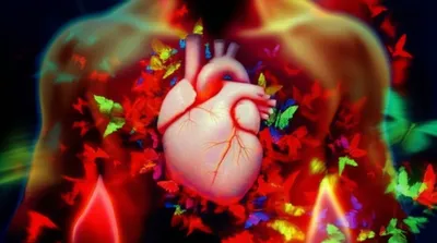 Illustration flutter - Image 1