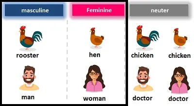 Illustration common - Image 2