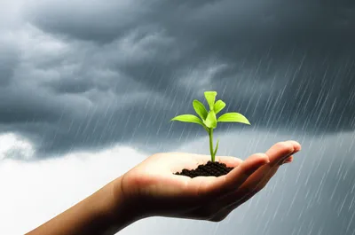 Illustration defended - Image 1