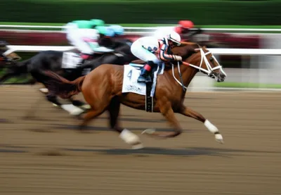 Illustration backtracking - Image 1