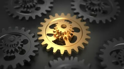 Illustration specialized