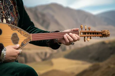 Illustration tar - Image 1