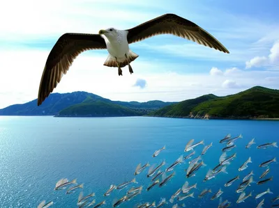 Illustration glided - Image 1