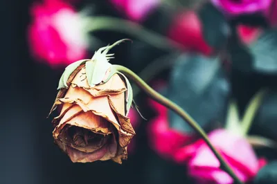 Illustration matters - Image 1