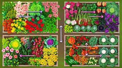 Illustration foiled - Image 1