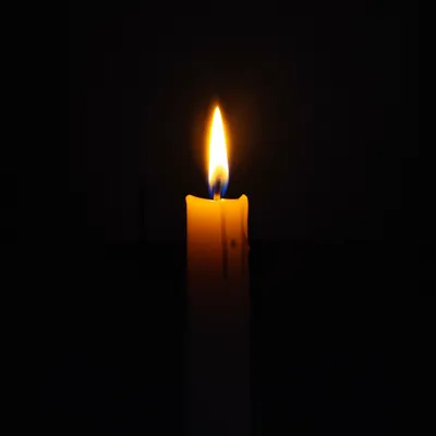 Illustration darkened - Image 1