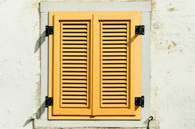 Illustration shuts - Image 1