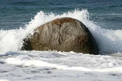 Illustration stable - Image 1