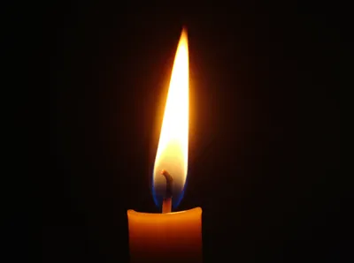 Illustration dims - Image 1