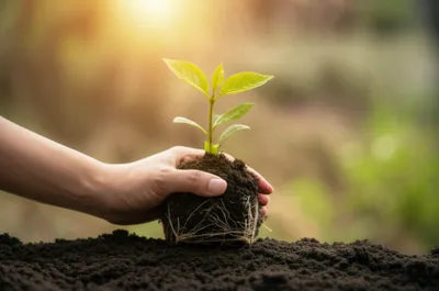 Illustration tenures - Image 1