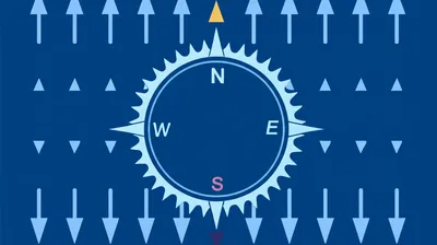 Hình ảnh minh họa south - Ảnh 1