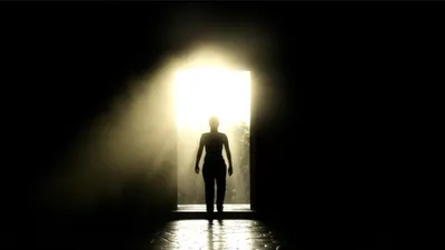 Illustration purges - Image 1